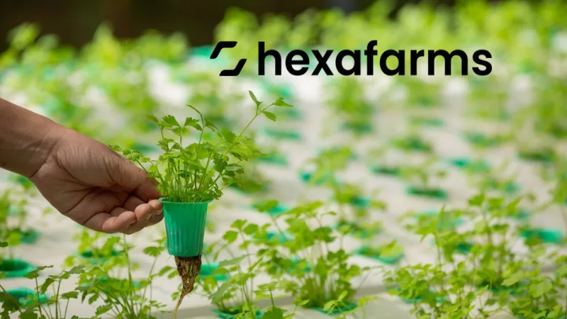 Berlin-based hexafarms, a pioneer in agricultural technology leveraging AI to optimize greenhouses to power the future of food production, raises €1.3 million in pre-seed funding round led by leading European early-stage investors Speedinvest with participation from Mudcake and techstars.