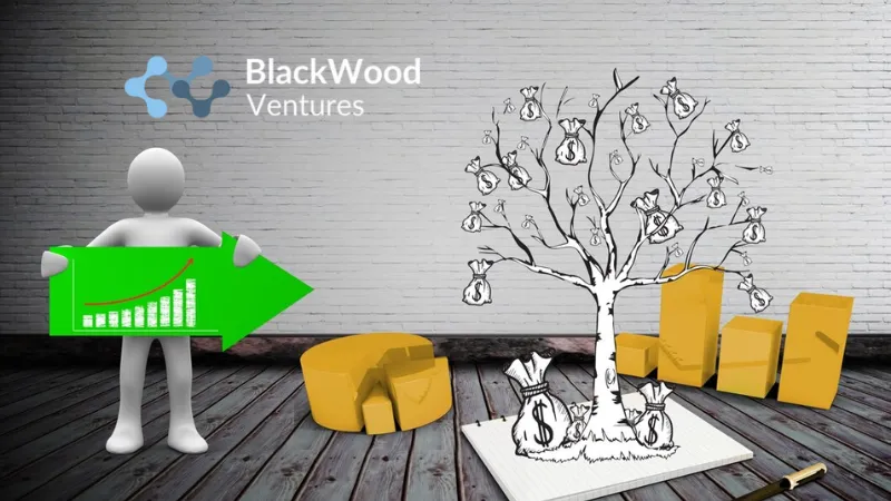 BlackWood, a network and technology-driven venture capital fund, raises €14.7
million in 2nd closing of Fund I. The fund finds and invests in Europe's most promising early-stage entrepreneurs using a methodical process.