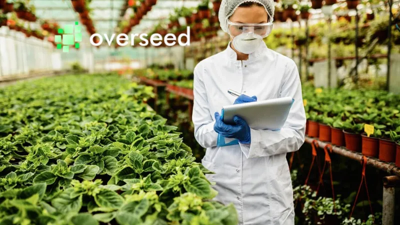 Overseed, a biotech startup, has raised €6.7 million to become the first French company producing just medical cannabis products. France is getting ready to approve the use of medical cannabis and cover it with health insurance starting in January 2025, but within a very tight pharmaceutical framework.