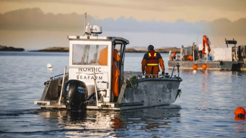 Nordic Seafarm - Sweden-based Nordic SeaFarm Raises €2.1Million in Funding