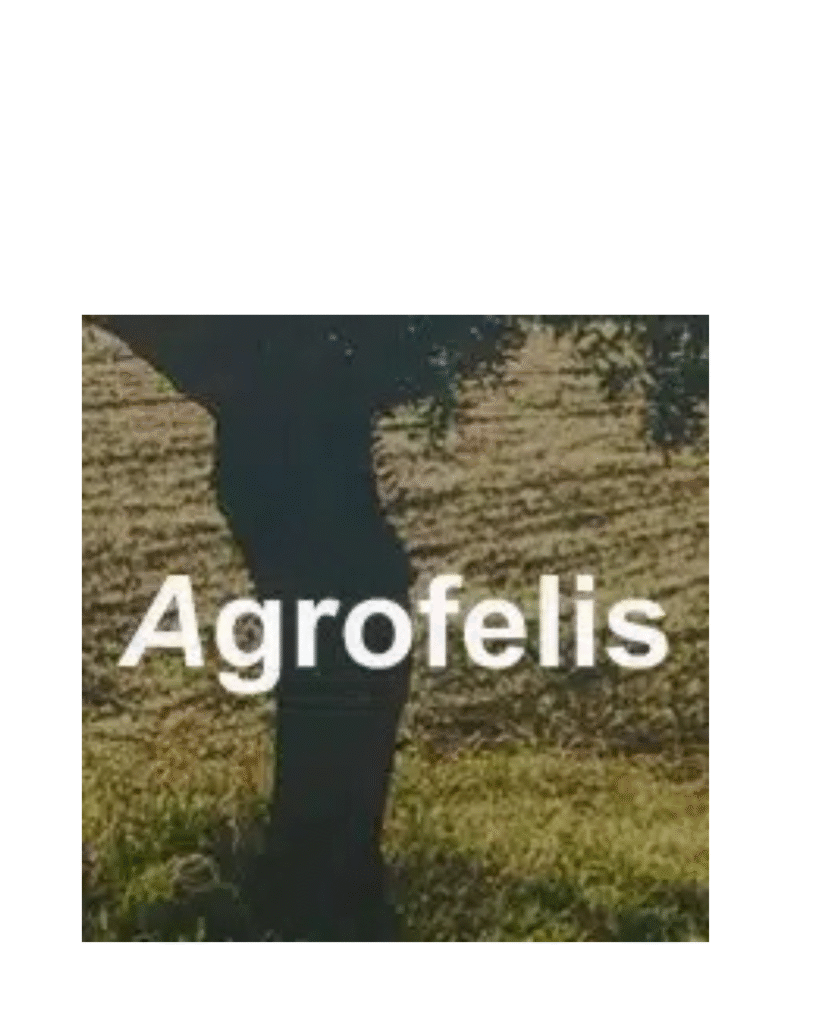 Agrofelis