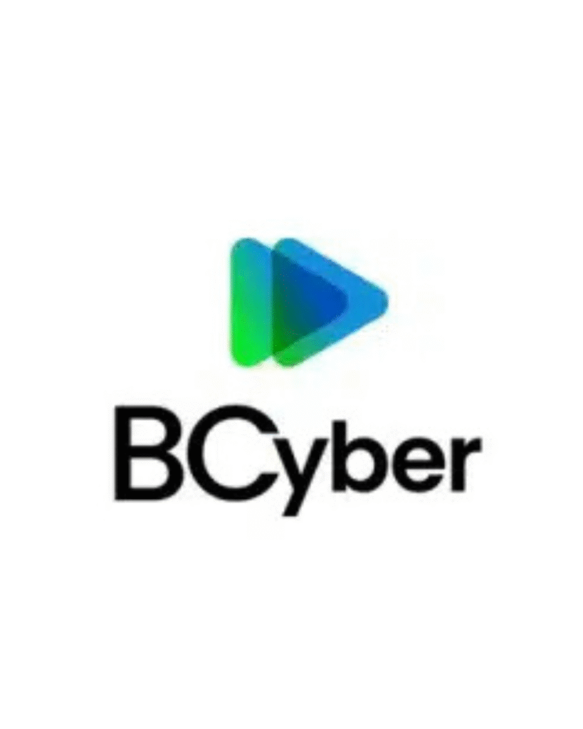 Bcyber