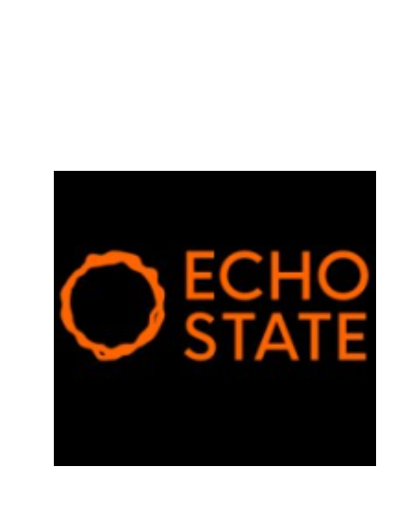 Echo State