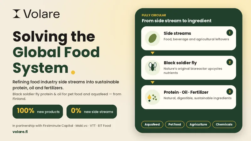 Volare “Solving the Global Food System” with a side streams to fly to ingredients flow.